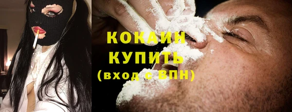 мет Инсар