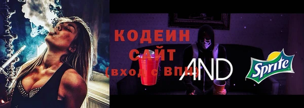 мет Инсар