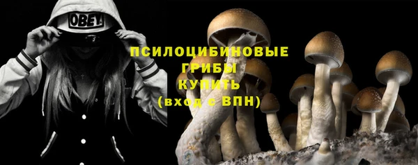спиды Инта