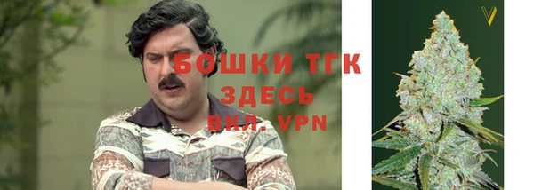 мет Инсар