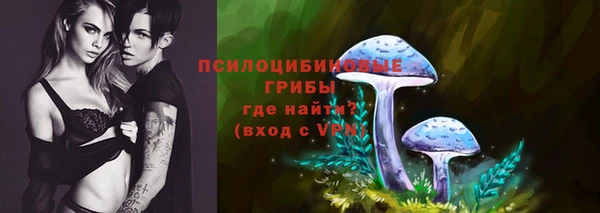 спиды Инта