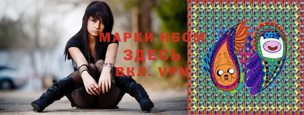 спиды Инта